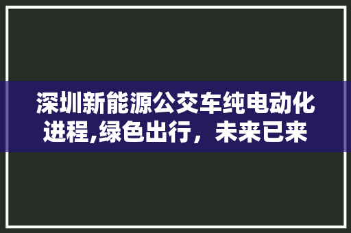 深圳新能源公交车纯电动化进程,绿色出行，未来已来