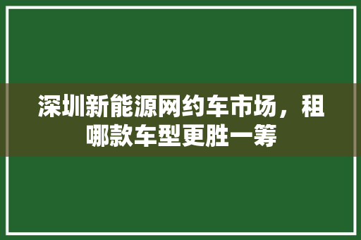 深圳新能源网约车市场，租哪款车型更胜一筹
