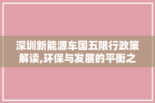 深圳新能源车国五限行政策解读,环保与发展的平衡之路