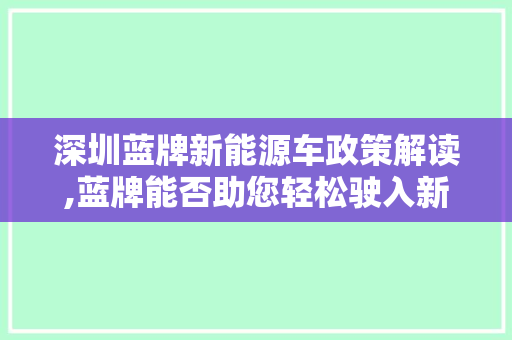 深圳蓝牌新能源车政策解读,蓝牌能否助您轻松驶入新能源领域