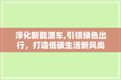 淳化新能源车,引领绿色出行，打造低碳生活新风尚