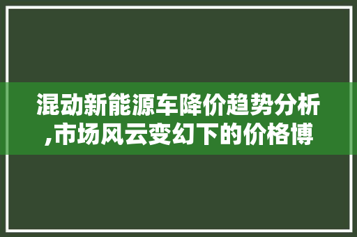 混动新能源车降价趋势分析,市场风云变幻下的价格博弈