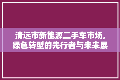 清远市新能源二手车市场,绿色转型的先行者与未来展望
