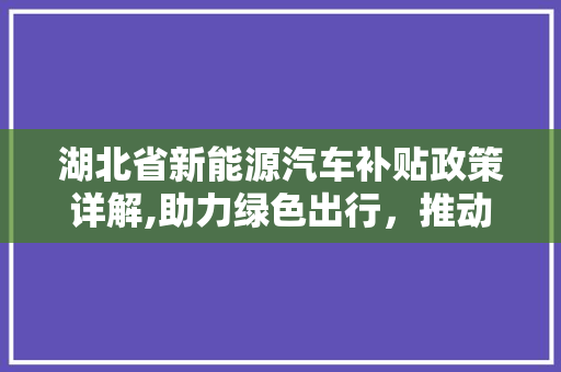 湖北省新能源汽车补贴政策详解,助力绿色出行，推动环保发展