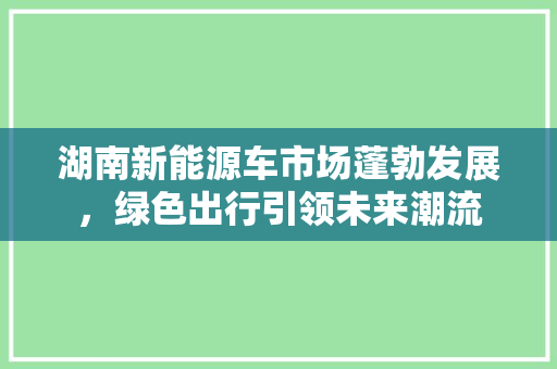 湖南新能源车市场蓬勃发展，绿色出行引领未来潮流