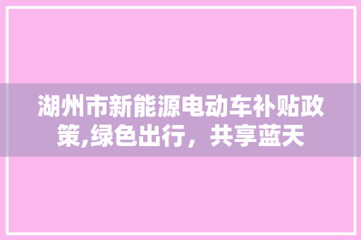 湖州市新能源电动车补贴政策,绿色出行，共享蓝天
