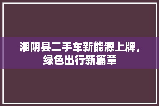 湘阴县二手车新能源上牌，绿色出行新篇章