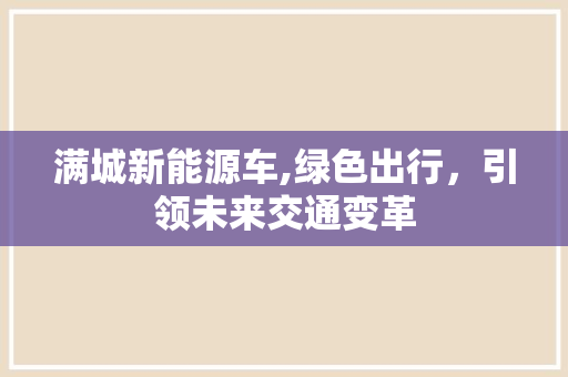 满城新能源车,绿色出行，引领未来交通变革