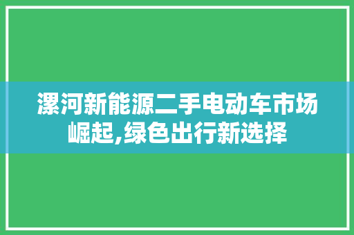 漯河新能源二手电动车市场崛起,绿色出行新选择