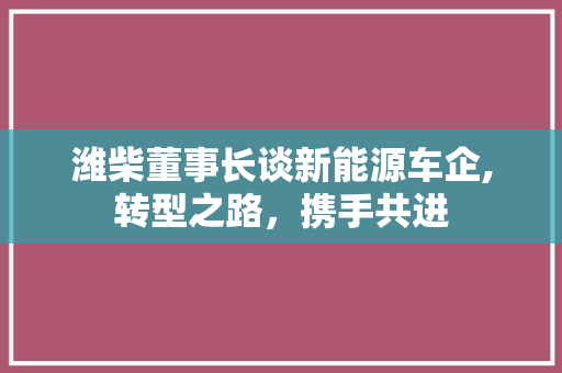 潍柴董事长谈新能源车企,转型之路，携手共进