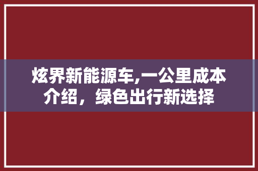 炫界新能源车,一公里成本介绍，绿色出行新选择