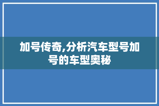 加号传奇,分析汽车型号加号的车型奥秘