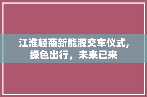 江淮轻商新能源交车仪式,绿色出行，未来已来