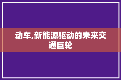 动车,新能源驱动的未来交通巨轮