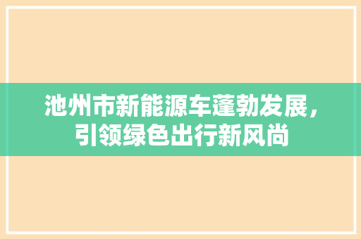 池州市新能源车蓬勃发展，引领绿色出行新风尚