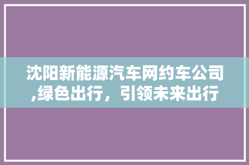 沈阳新能源汽车网约车公司,绿色出行，引领未来出行新风尚