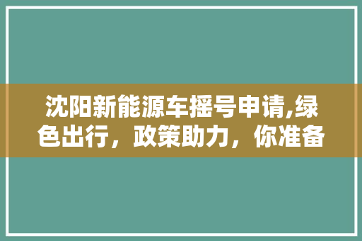 沈阳新能源车摇号申请,绿色出行，政策助力，你准备好了吗