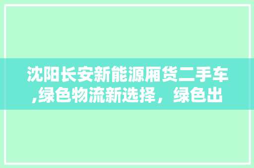 沈阳长安新能源厢货二手车,绿色物流新选择，绿色出行新风尚