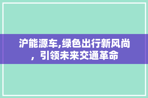 沪能源车,绿色出行新风尚，引领未来交通革命