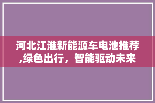 河北江淮新能源车电池推荐,绿色出行，智能驱动未来