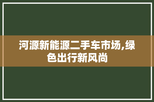 河源新能源二手车市场,绿色出行新风尚