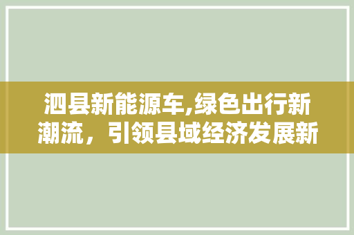泗县新能源车,绿色出行新潮流，引领县域经济发展新篇章