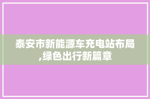 泰安市新能源车充电站布局,绿色出行新篇章