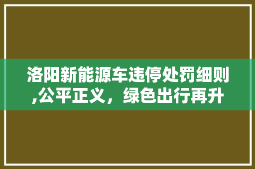洛阳新能源车违停处罚细则,公平正义，绿色出行再升级