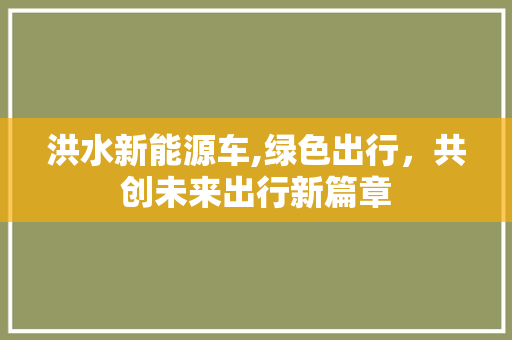 洪水新能源车,绿色出行，共创未来出行新篇章
