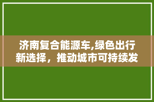 济南复合能源车,绿色出行新选择，推动城市可持续发展