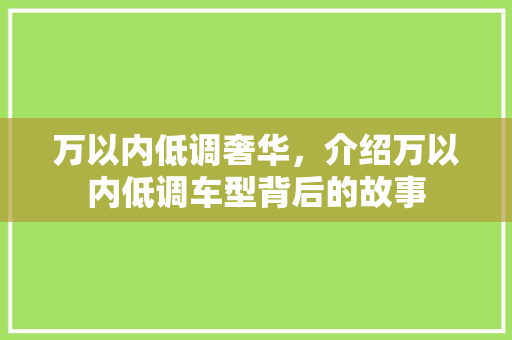 万以内低调奢华，介绍万以内低调车型背后的故事