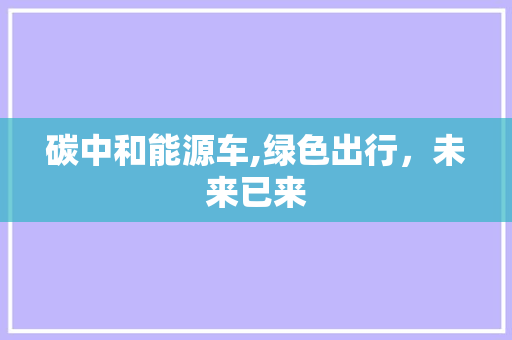 碳中和能源车,绿色出行，未来已来