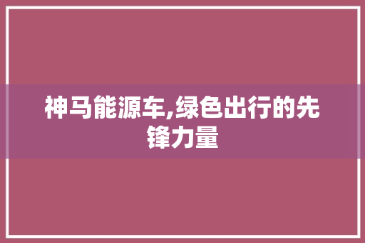 神马能源车,绿色出行的先锋力量