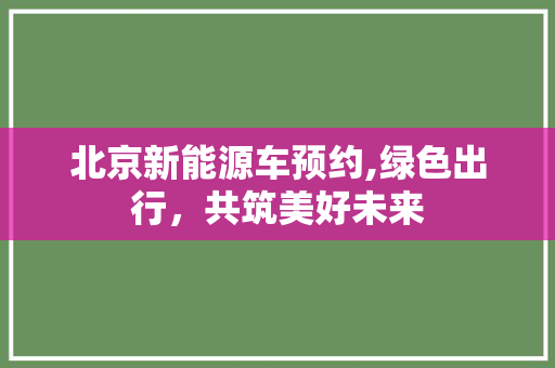 北京新能源车预约,绿色出行，共筑美好未来