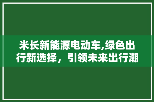 米长新能源电动车,绿色出行新选择，引领未来出行潮流