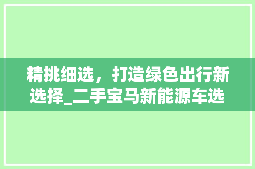 精挑细选，打造绿色出行新选择_二手宝马新能源车选购指南