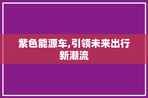 紫色能源车,引领未来出行新潮流