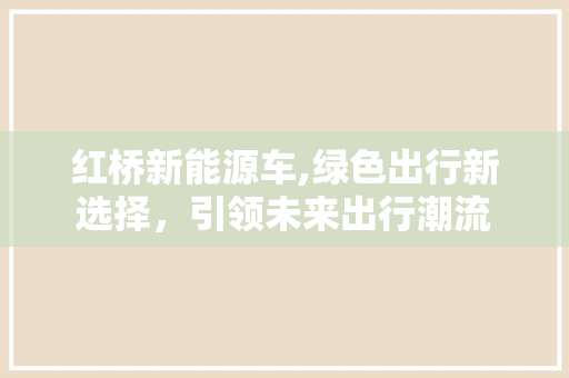 红桥新能源车,绿色出行新选择，引领未来出行潮流
