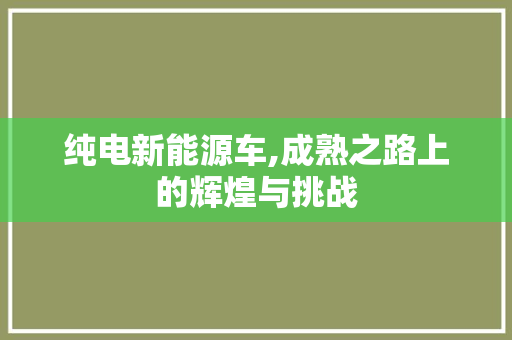 纯电新能源车,成熟之路上的辉煌与挑战