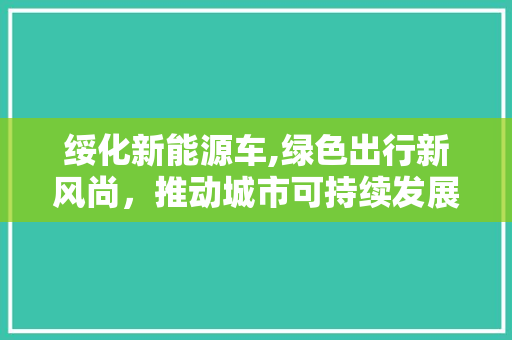 绥化新能源车,绿色出行新风尚，推动城市可持续发展