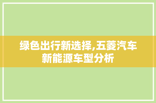 绿色出行新选择,五菱汽车新能源车型分析