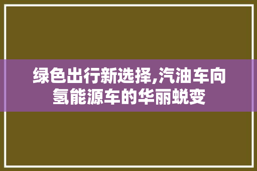 绿色出行新选择,汽油车向氢能源车的华丽蜕变