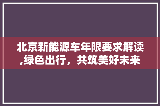 北京新能源车年限要求解读,绿色出行，共筑美好未来
