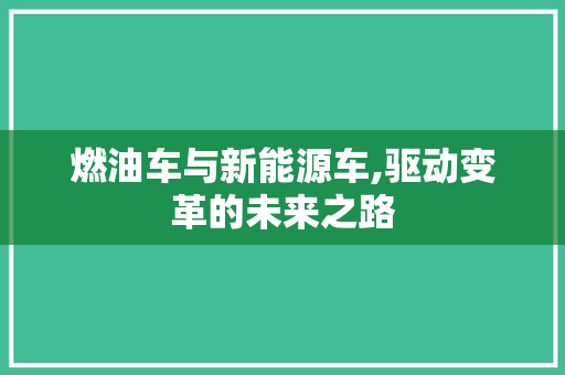 燃油车与新能源车,驱动变革的未来之路