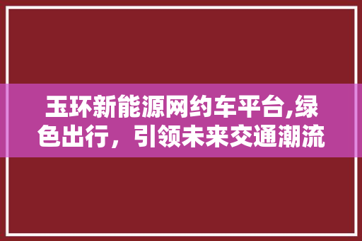 玉环新能源网约车平台,绿色出行，引领未来交通潮流