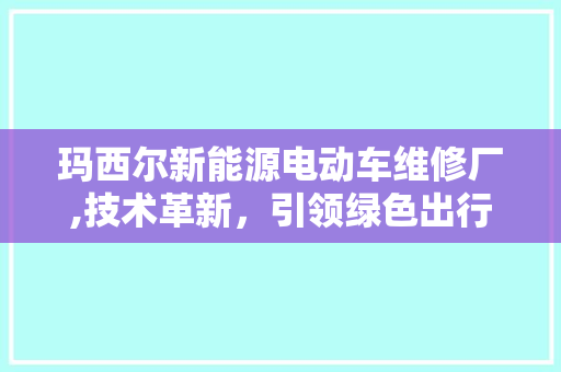 玛西尔新能源电动车维修厂,技术革新，引领绿色出行新潮流