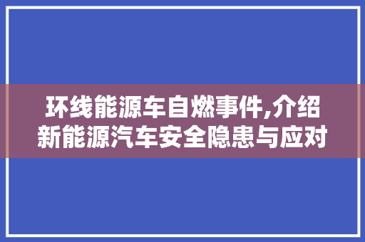 环线能源车自燃事件,介绍新能源汽车安全隐患与应对步骤