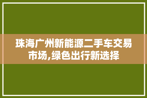 珠海广州新能源二手车交易市场,绿色出行新选择