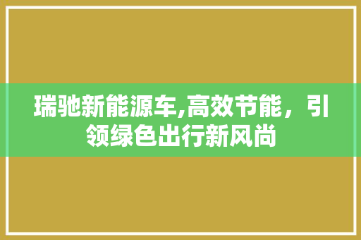 瑞驰新能源车,高效节能，引领绿色出行新风尚