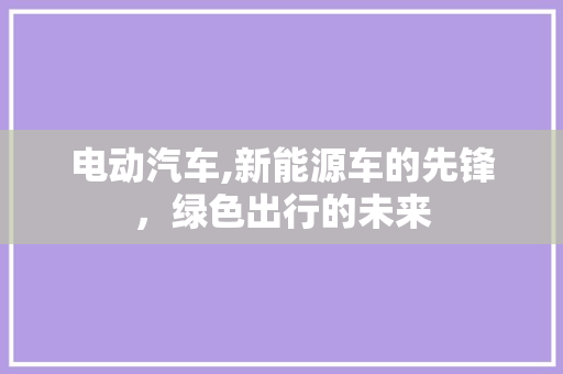 电动汽车,新能源车的先锋，绿色出行的未来